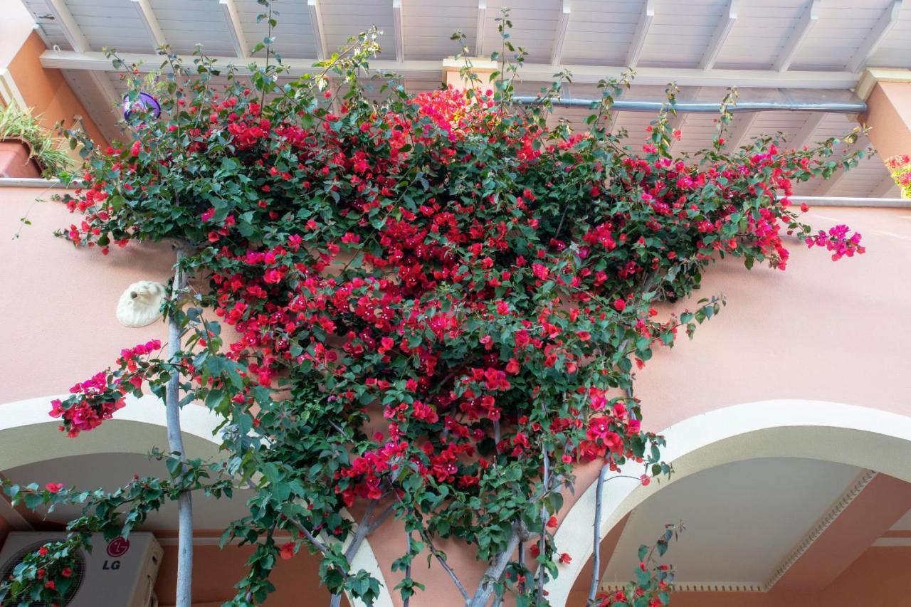 The Red Bougainvillea Apartments Kanálion Zewnętrze zdjęcie